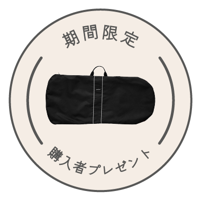 【極美品】上位モデル　ベビービョルン バウンサー メッシュ ブラック ベビービョルン ベビーシッターバランスエアー メッシュ